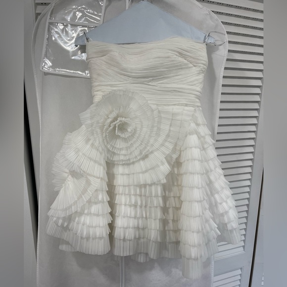 Aje Expressive Pleated Mini Dress - Picture 4 of 8